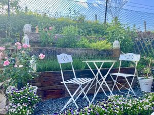 Photo 11- click for photo gallery